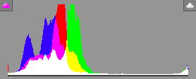 A screenshot showing how Camera Raw displays histograms for color photographs.